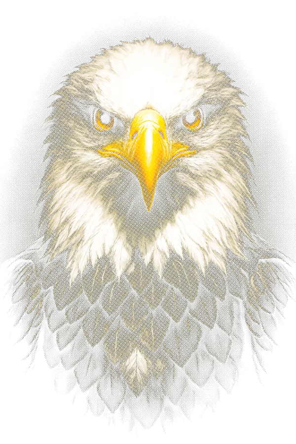 Eagle - Halftone Black Shirt
